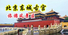 舔屁眼尿尿免费观看网站中国北京-东城古宫旅游风景区